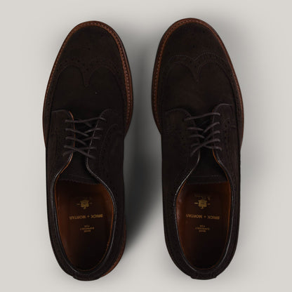 ALDEN LONGWING BLUCHER - DARK  BROWN SUEDE